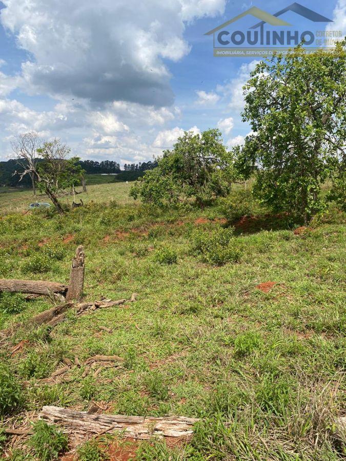 WhatsApp Image 2025-11-27 at 14.37.24.jpeg